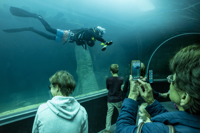 �������� Aquatis. ���� � Fernando Guerra | FG+SG