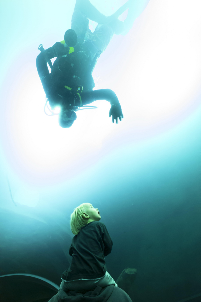 �������� Aquatis. ���� � Fernando Guerra | FG+SG