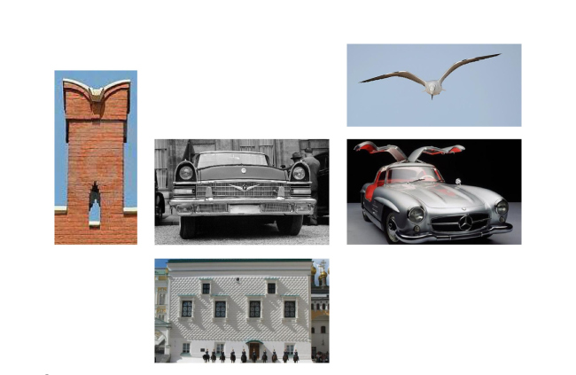 ������. 2-�� �������, ������. ������� 14.1 � DNK ag