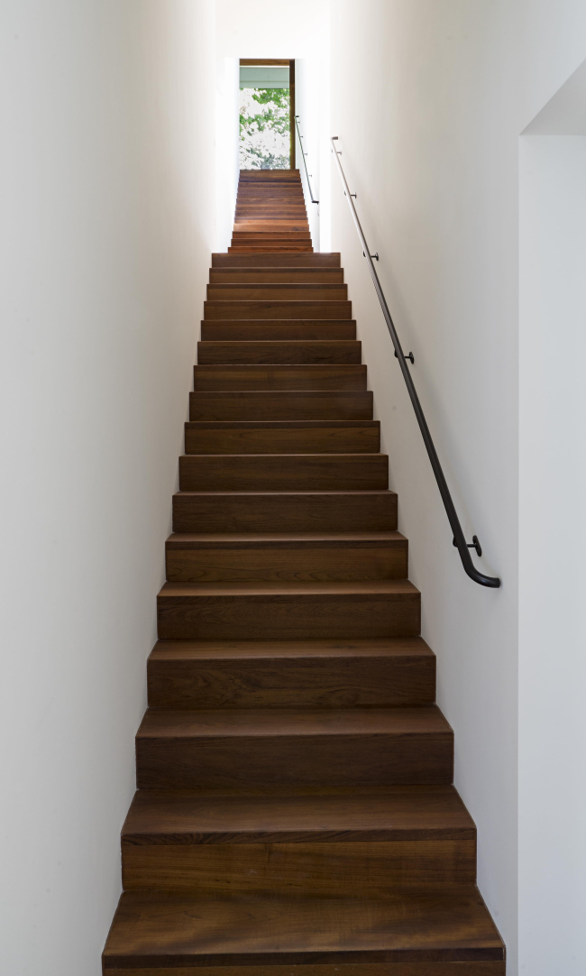 ����� ����������� � Herzog & de Meuron / ����: Dani Hunziker