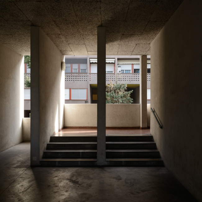 �������� ������ ������. ������ ����� �����. ���� � ������� �������