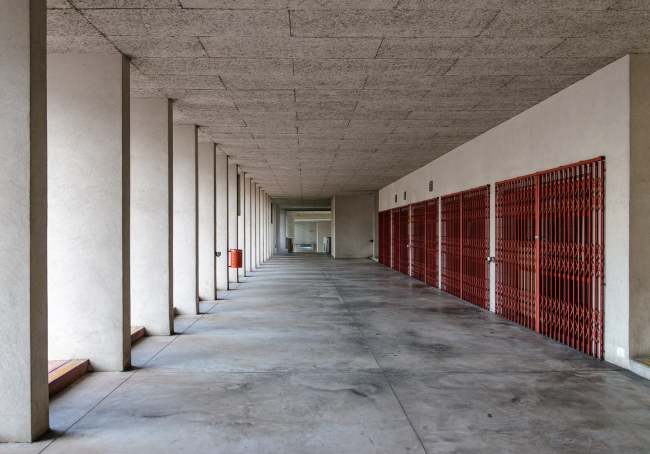 �������� ������ ������. ������ ����� �����. ���� � ������� �������