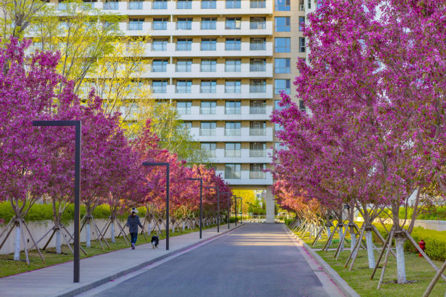 ����� �������� Habitat Golden Dream Bay. ����: Kerry Properties