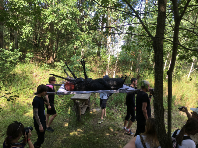 ������ ��������� ����. �����: ���� ������� � ������� �������. ���������� 2018. ���������� ����.��