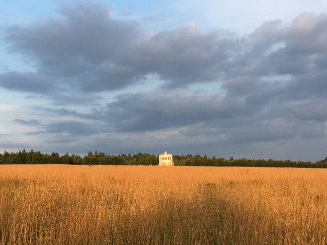 Вид на поле с Ротондой Александра Бродского. Архстояние 2018. Фотография Архи.ру
