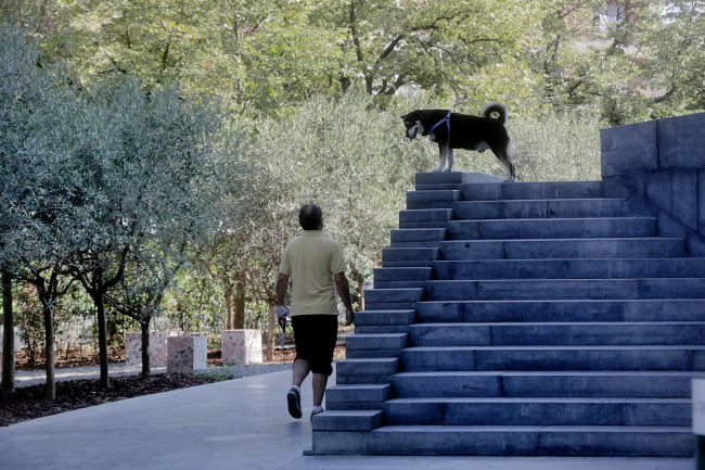 ������� ����������� � ������������� � Blerta Kambo