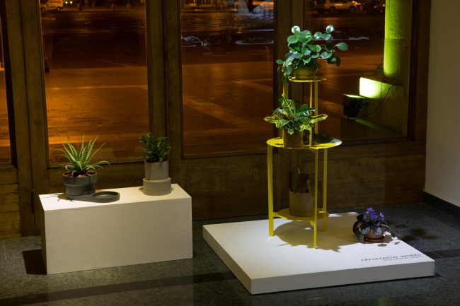 ������ ������ Facultative works. ���� ������������� Nerka Design Project