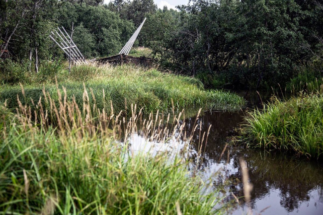 ���� ����� / ������� ���� ����