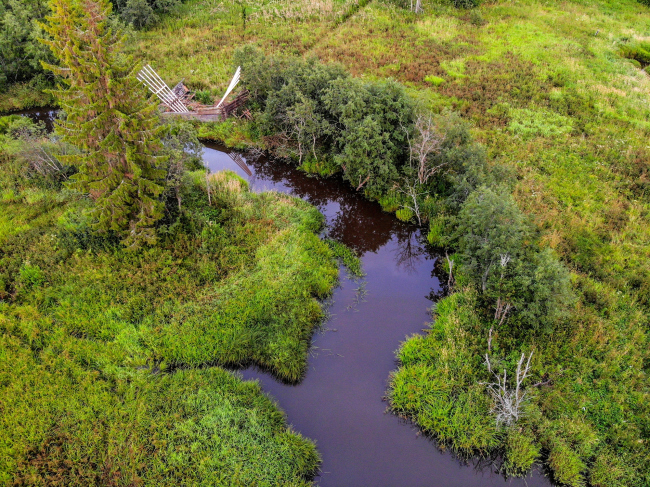 ���� ����� / ������� ���� ����