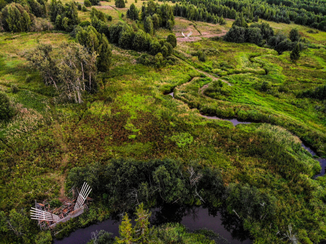 ���� ����� / ������� ���� ����