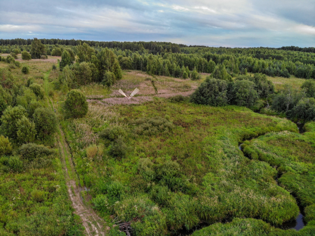 ���� ����� / ������� ���� ����