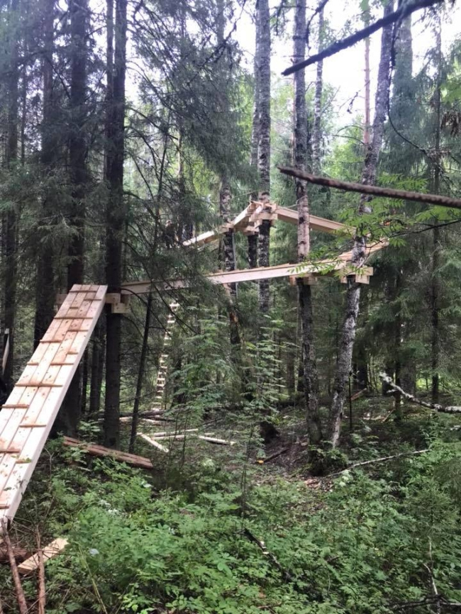 ������ / ������� �������