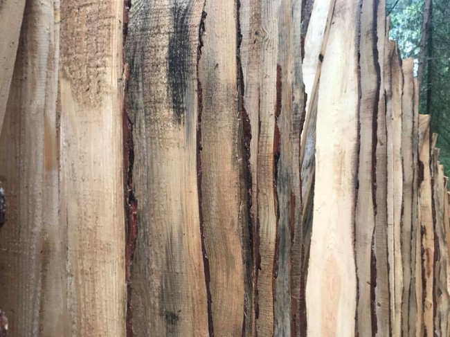 ����� / ������� ����