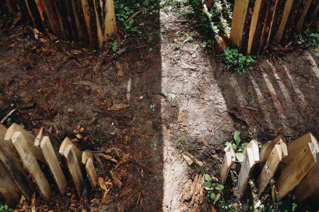 ����� / ������� ����