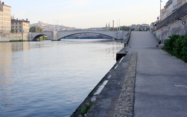 The Sona Embankment, Lion. Photo by Archi.ru