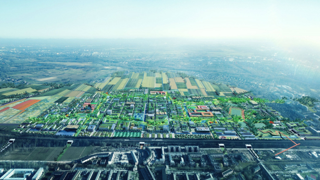 Сады на крыше нового района в Гамбурге. Фотография © ADEPT, KARRES+BRANDS, Doug & Wolf