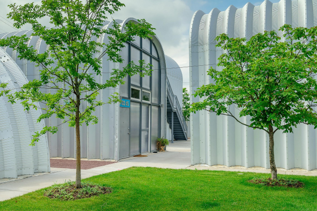 ����� �������� True North � Chris Miele