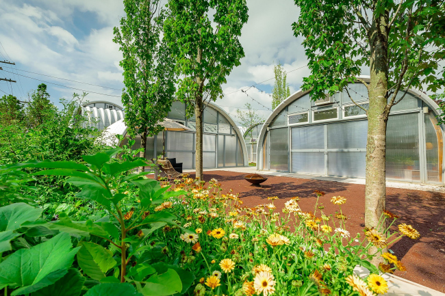 ����� �������� True North � Chris Miele