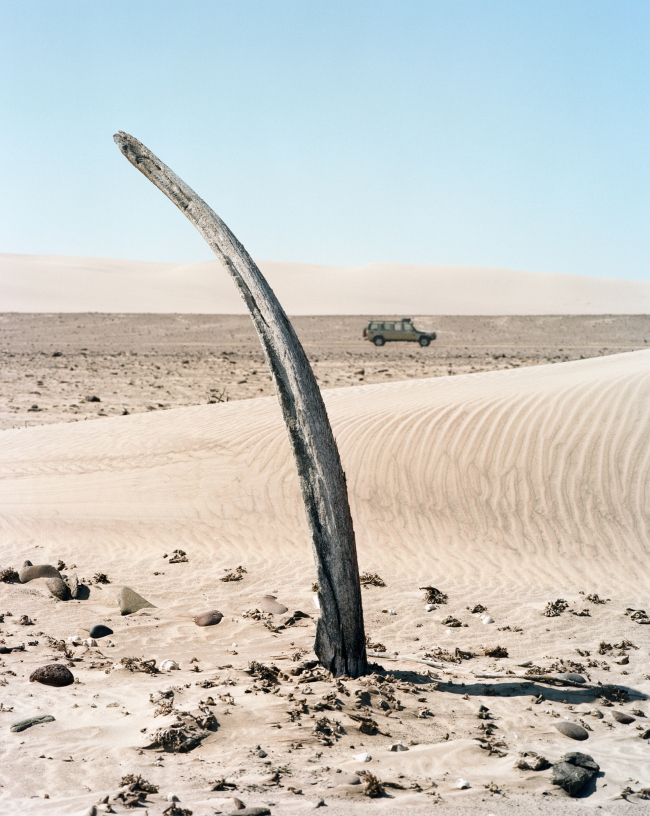 ����� Shipwreck Lodge. ���������� � Michael Turek. ������������� Nina Maritz Architects