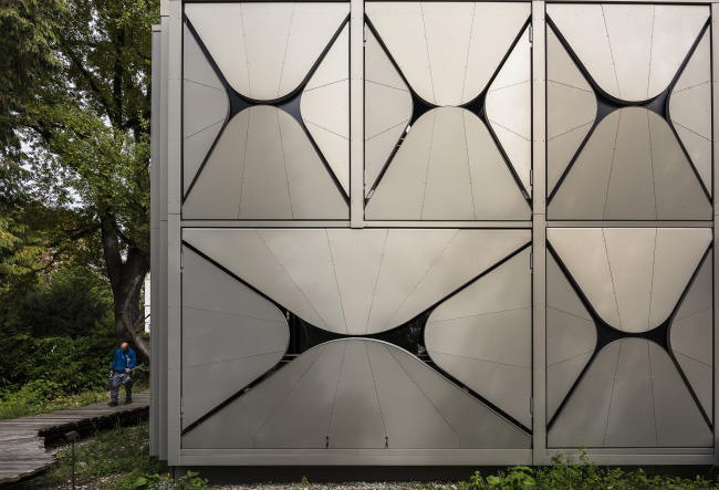 ����� ��� � ������ ������������� �����. ���������� � ���� �������