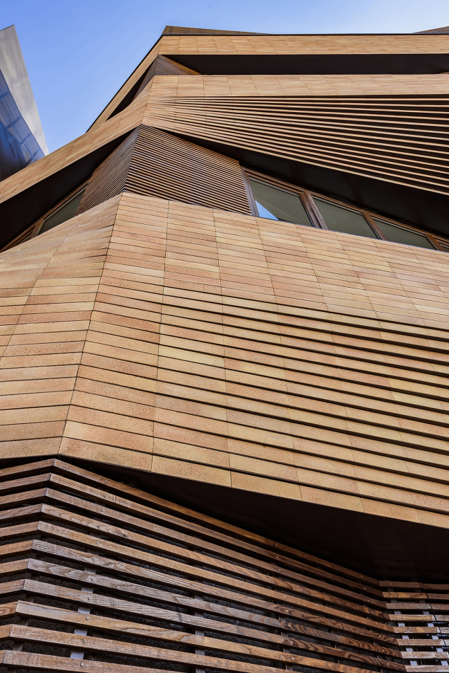 ��� � �����. ���� � Reza Najafian