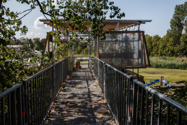 �������� ����������� � �������. ���� � ����� ������