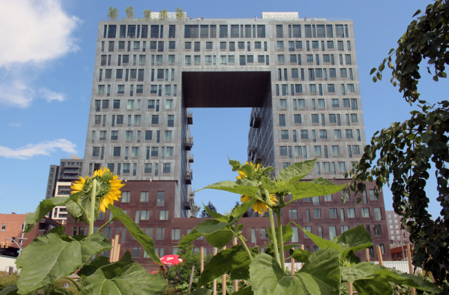 ���� Domino, Field Operations. ���������� ���������� �������