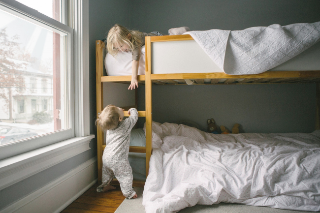 ����������� ��������� ������� �������� ���������� ������� RPI 23 �� ���� ������� �������. ���������� � unsplash.com 