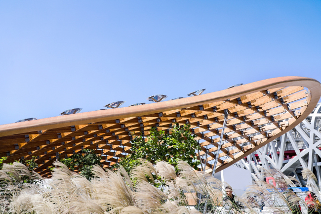 �������� ������ ���. ���������� � Zhou Dongdong