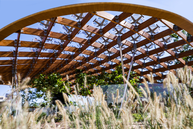 �������� ������ ���. ���������� � Zhou Dongdong