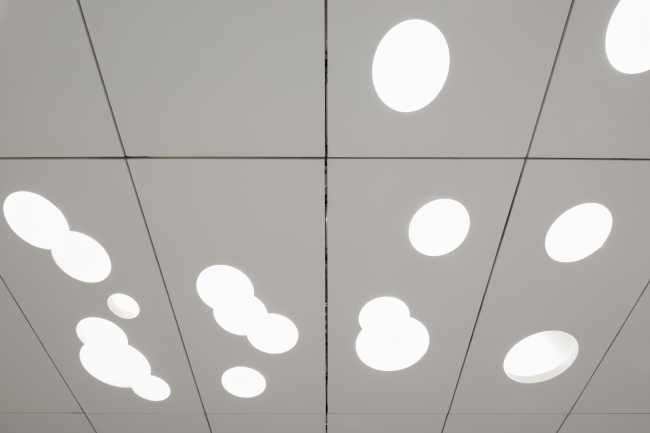 ������� ����� ��������� � Nefa Architects