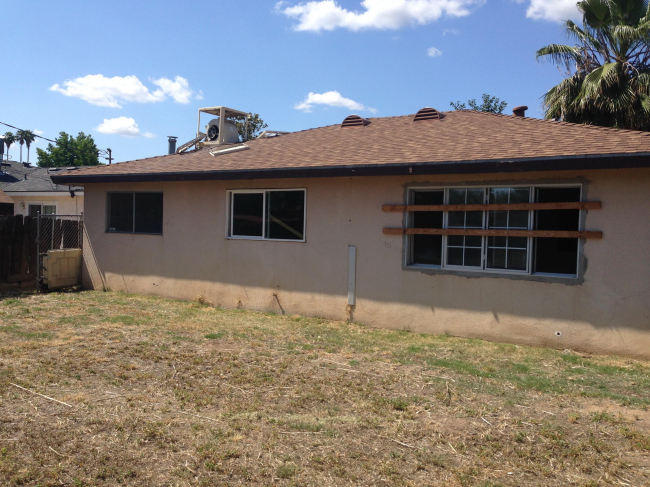 ���� � Intellectual Renaissance