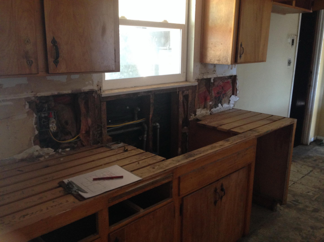 ���� � Intellectual Renaissance