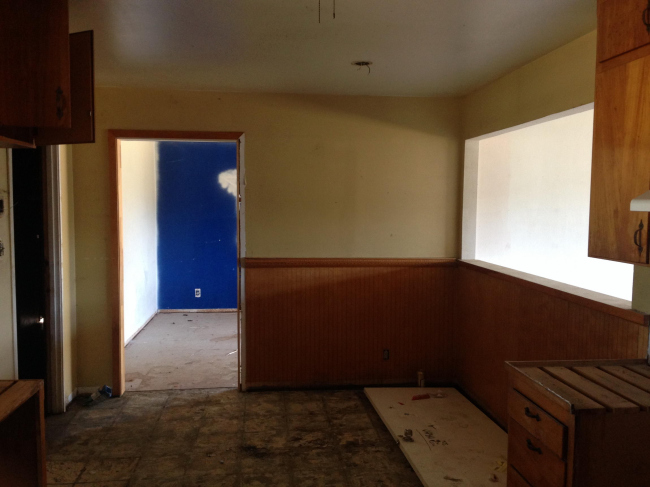 ���� � Intellectual Renaissance