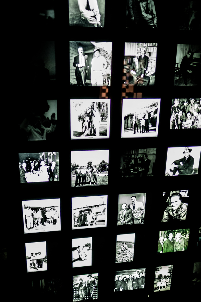 ���� � Intellectual Renaissance