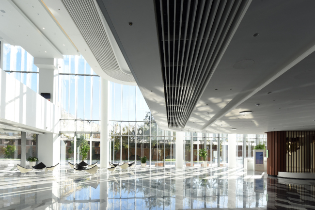Zaryadye Concert Hall. Photograph � Ilia Ivanov