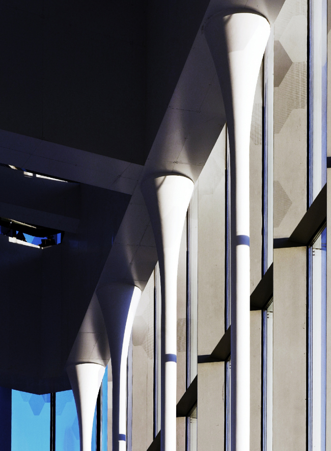 Zaryadye Concert Hall. Photograph � Ilia Ivanov