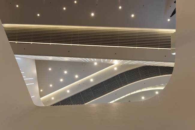 Zaryadye Concert Hall. Photograph � Ilia Ivanov