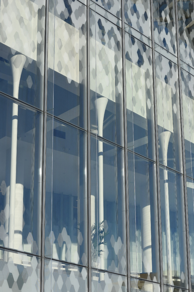 ���������� ��� ��������