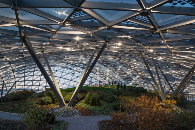 Zaryadye Concert Hall. The grid shell. Photograph  Aleksey Naroditsky