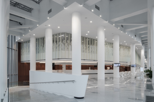 Zaryadye Concert Hall. Photograph � Aleksey Naroditsky