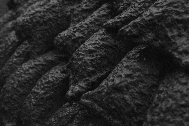 Mud Shell � Stephanie Chaltiel, Rosie Marks