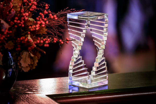 ����������� ������������� ������������ Premium Living Professional Design Award