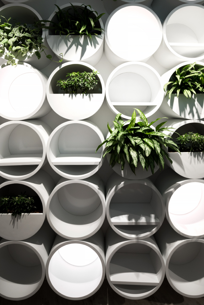 ���� ��������� DPG � T+T architects