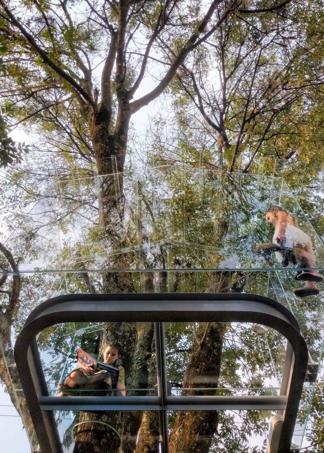 Crystal Treehouse � Alexander de La Roche. ������������� ���� BROISSIN