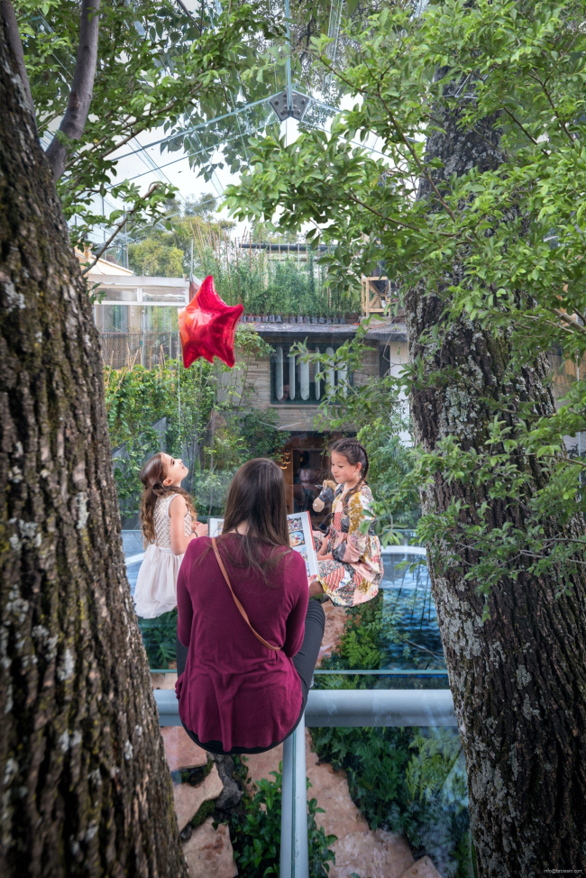 Crystal Treehouse � Alexander de La Roche. ������������� ���� BROISSIN