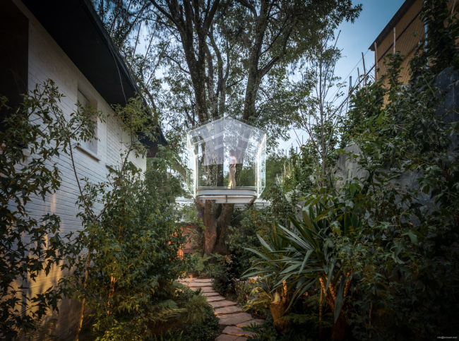 Crystal Treehouse � Alexander de La Roche. ������������� ���� BROISSIN