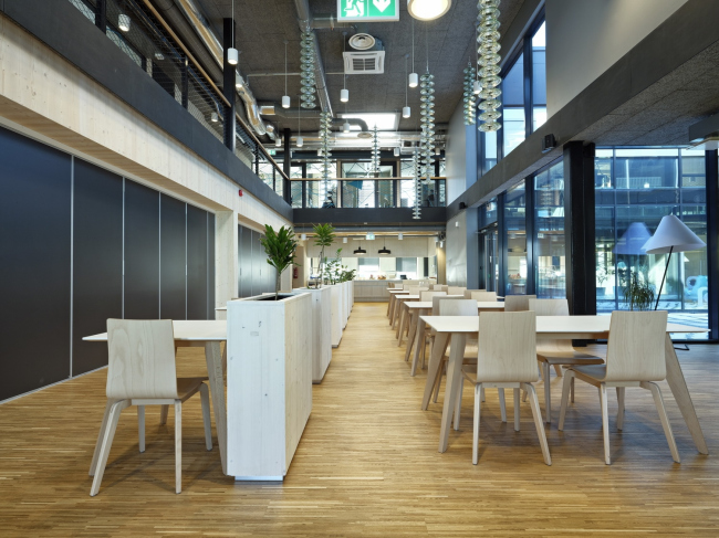 ������ �������� Elering. ���� � Kalle Veesaar