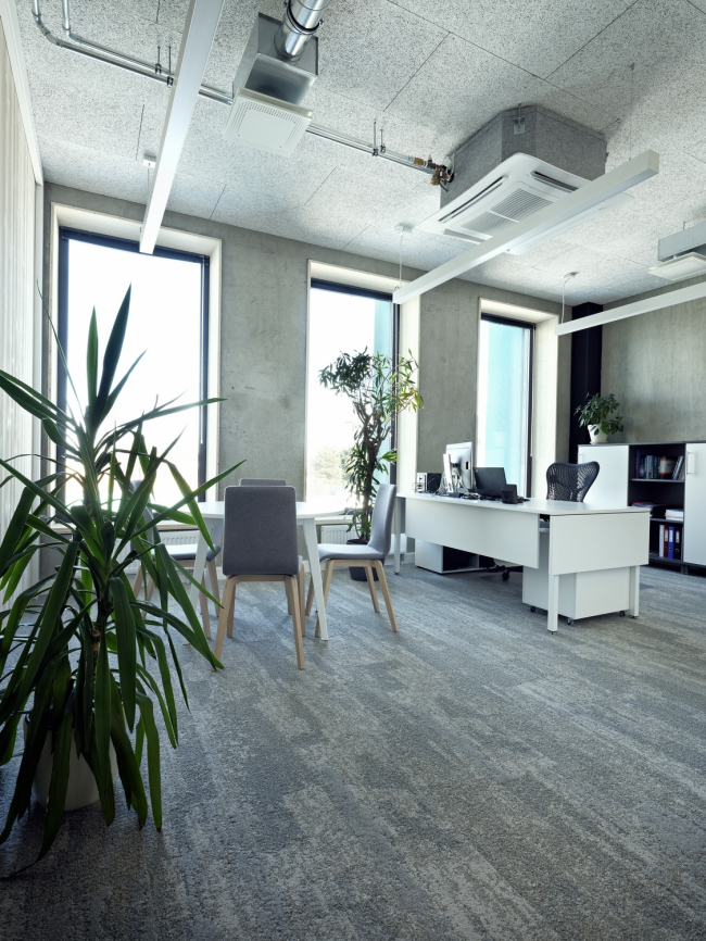 ������ �������� Elering. ���� � Kalle Veesaar