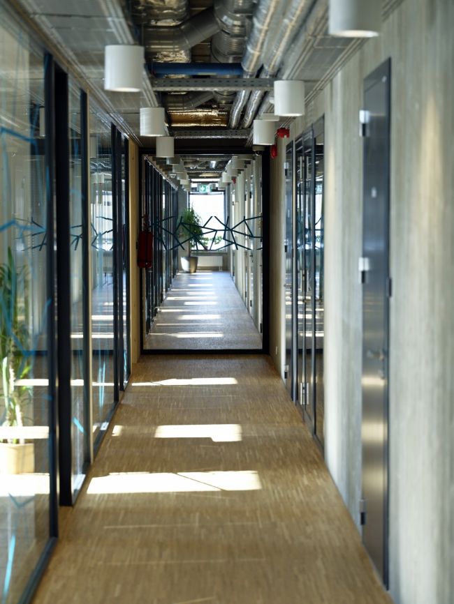 ������ �������� Elering. ���� � Kalle Veesaar